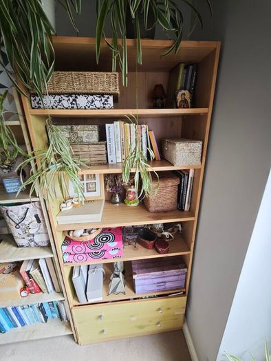 free bookshelf