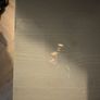 beside lockers x2 Image 3