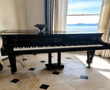 Piano black