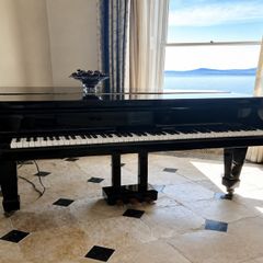 Piano black
