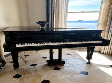Piano black