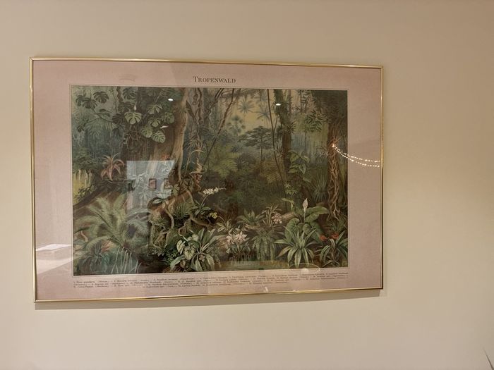 Tropical Picture Frame 130cm in diameter