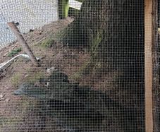 cage