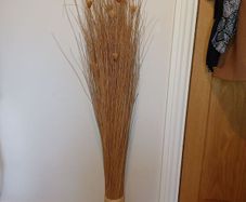 Dried Flowers