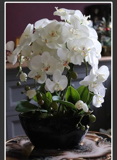 Extra Large Beautifull Flower like real 60 cm tall