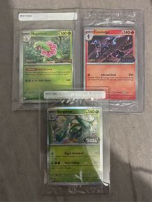 pokemon cards staff promo cards sealed