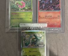 pokemon cards staff promo cards sealed