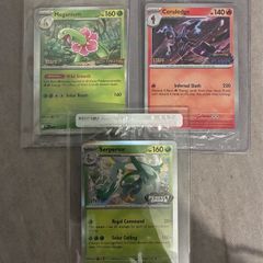 pokemon cards staff promo cards sealed