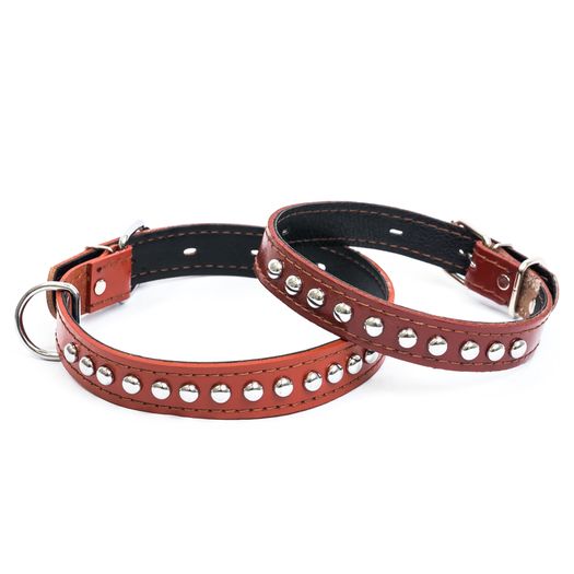 Leather Dog Collar