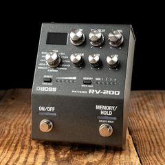 Boss RV-200