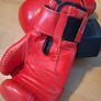 12oz Fight Rite Boxing Gloves Image 3