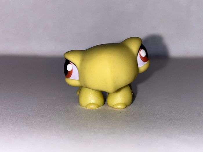 littlest pet shop (LPS) Turtle bundle!