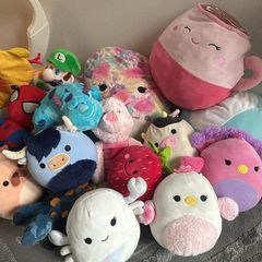 free squishmallows teddys