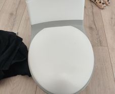 potty