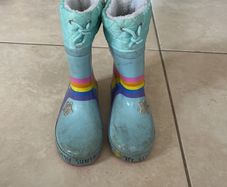 wellies