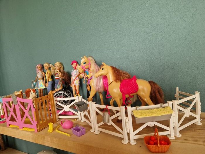 Barbies and Equistriene ponies & accessories