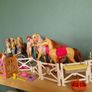 Barbies and Equistriene ponies & accessories Image 3