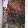 Glass Reduced prefect Christmas gift. BIG CLEAROUT, MAKE AN OFFER Image 2