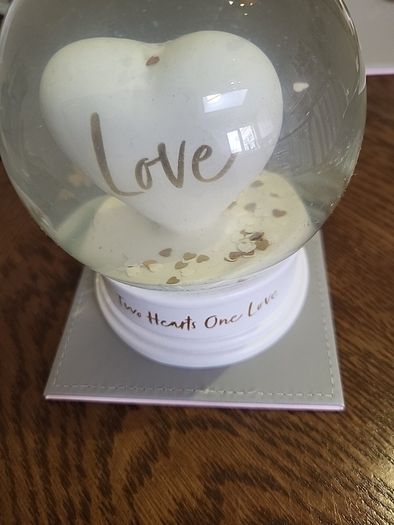 Snowglobe love