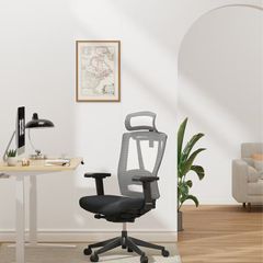 FlexiSpot BS14 Ergonomic Office Chair - Brand New Sealed Box