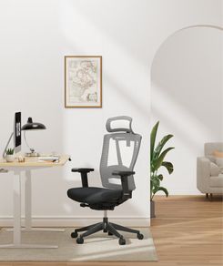 FlexiSpot BS14 Ergonomic Office Chair - Brand New Sealed Box