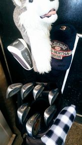 Set of Ladies Golf Clubs