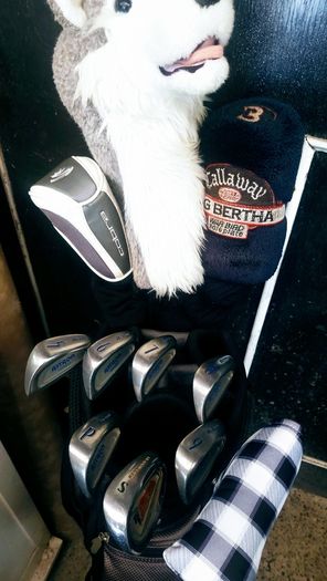 Set of Ladies Golf Clubs