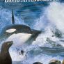 David Attenborough Life on Earth Trilogy Image 7