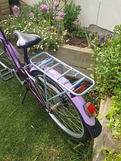 Girls  24" Bicycle/Ken Black Purple with stand and back carrier