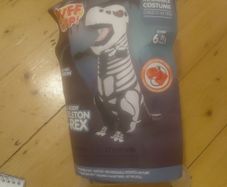 Dinosaur costume