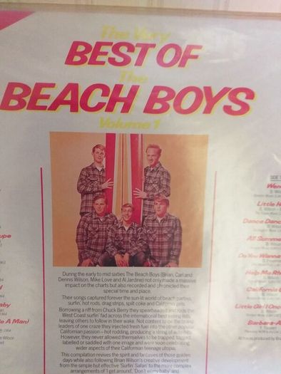 The Beach Boys.