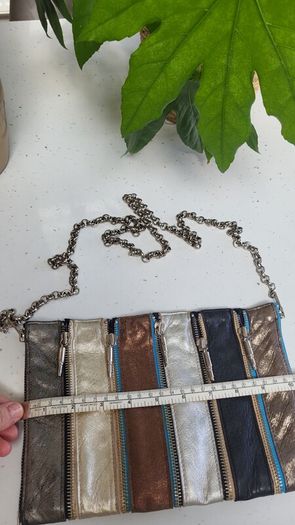 Louise Farnay metallic tones magnetic snatch crossbody bag - Rrp 129 dollars (New)