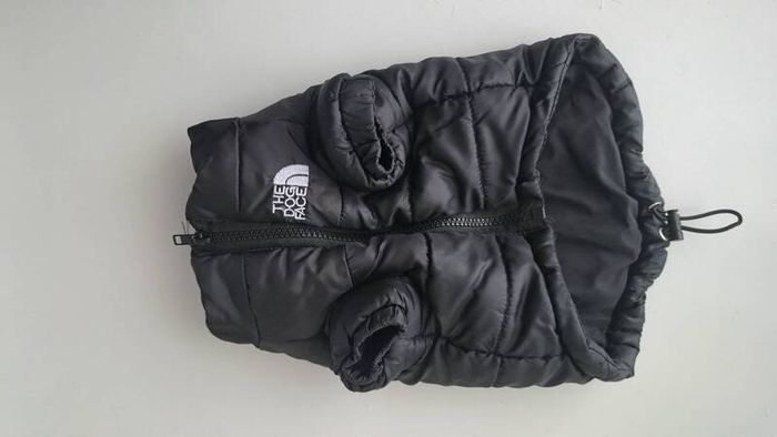 dog jacket