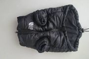 dog jacket