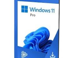 Windows 11
