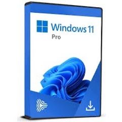 Windows 11