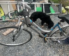 bikes