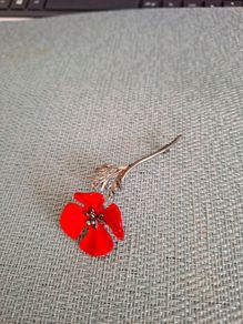 brooch
