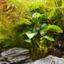 Juwel Rio 180L Fish Tank & Cabinet Full Set, 2 external filters, Co2 Image 9