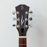 Sire R3 Series, Electro acoustic, Zebra electrics Image 2