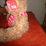 Cuddly Christmas Bear for Sale Image 4