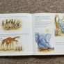 Hardback Collection of 5 Children's Books Image 5