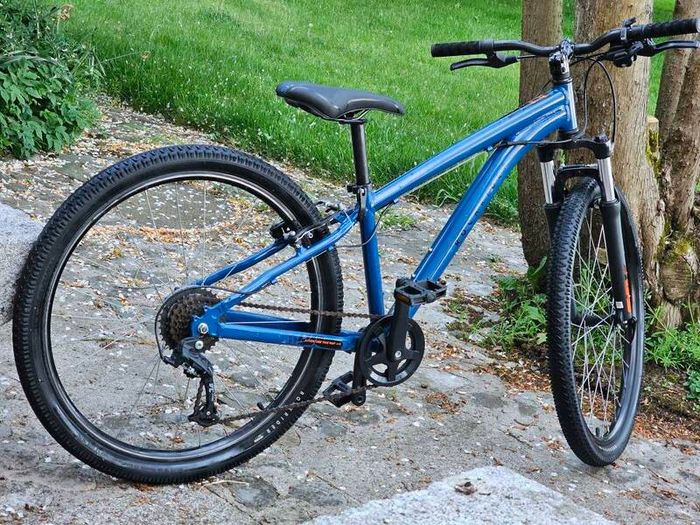 Teenagers Rockrider Bike. Kids cycle