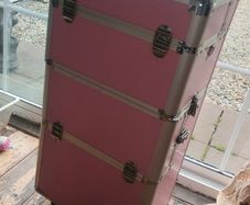 makeup / hairdressing case