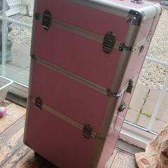 makeup / hairdressing case