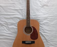 Acoustic guitar - Oakman