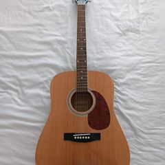 Acoustic guitar - Oakman
