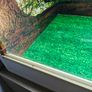 Vivarium/Terrarium Image 8
