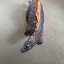 Toy Image 2