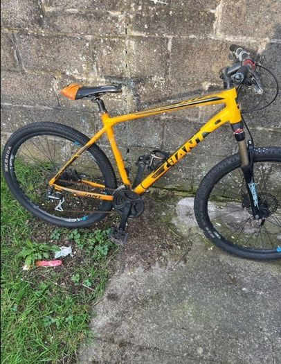 giant bike